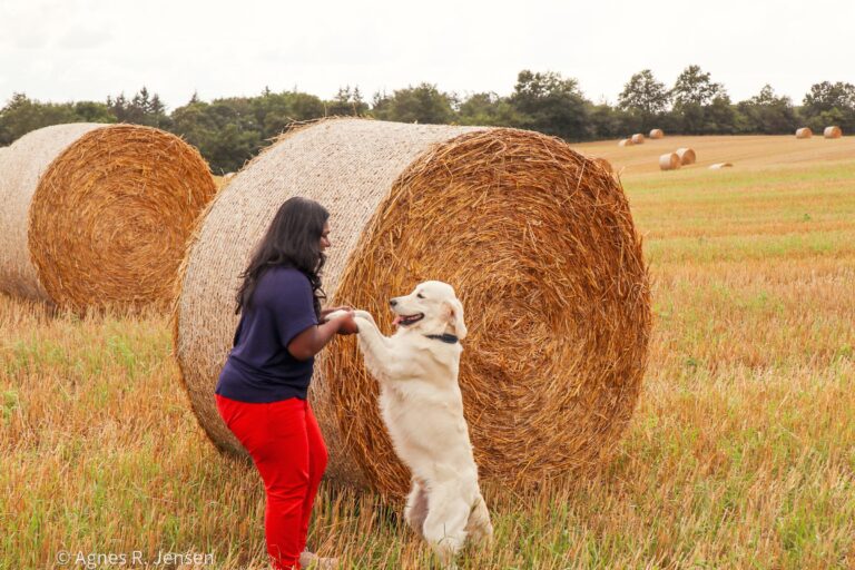 Infertility journey - Dog and Agnes dancing in fields as terapy